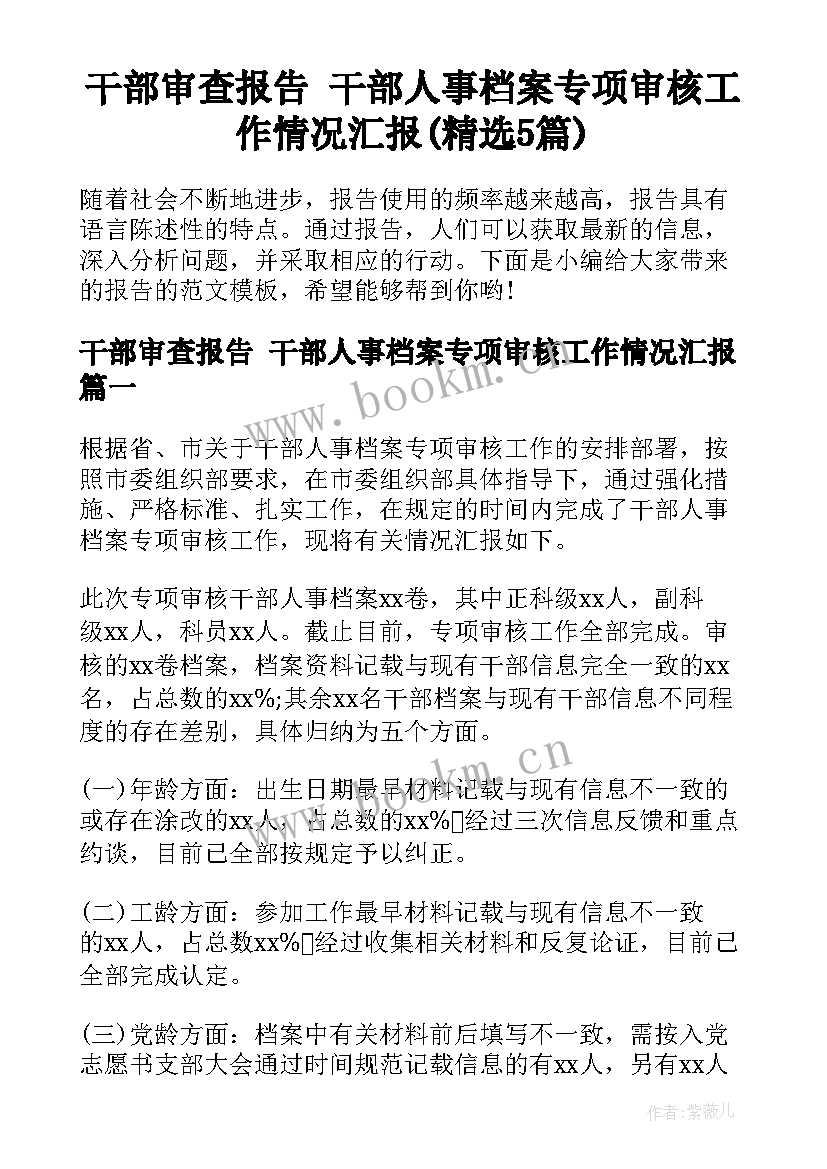 干部审查报告 干部人事档案专项审核工作情况汇报(精选5篇)