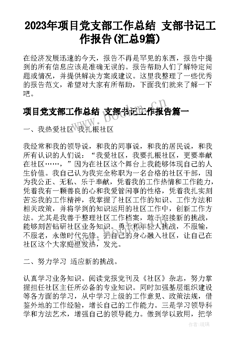 2023年项目党支部工作总结 支部书记工作报告(汇总9篇)