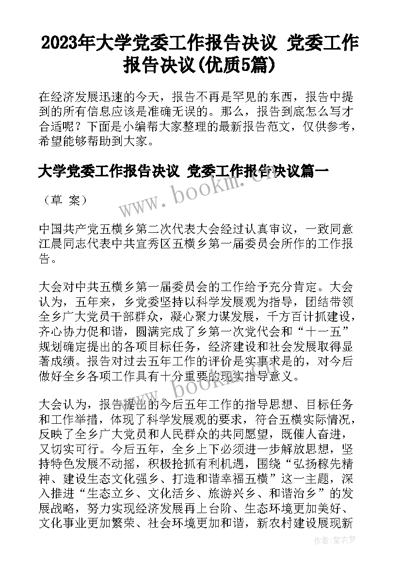 2023年大学党委工作报告决议 党委工作报告决议(优质5篇)