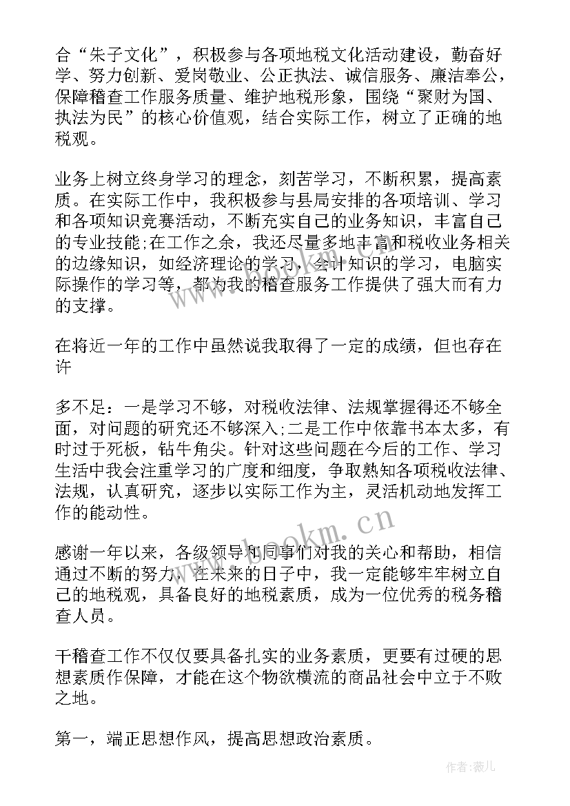 税务稽查工作总结及工作计划(模板5篇)