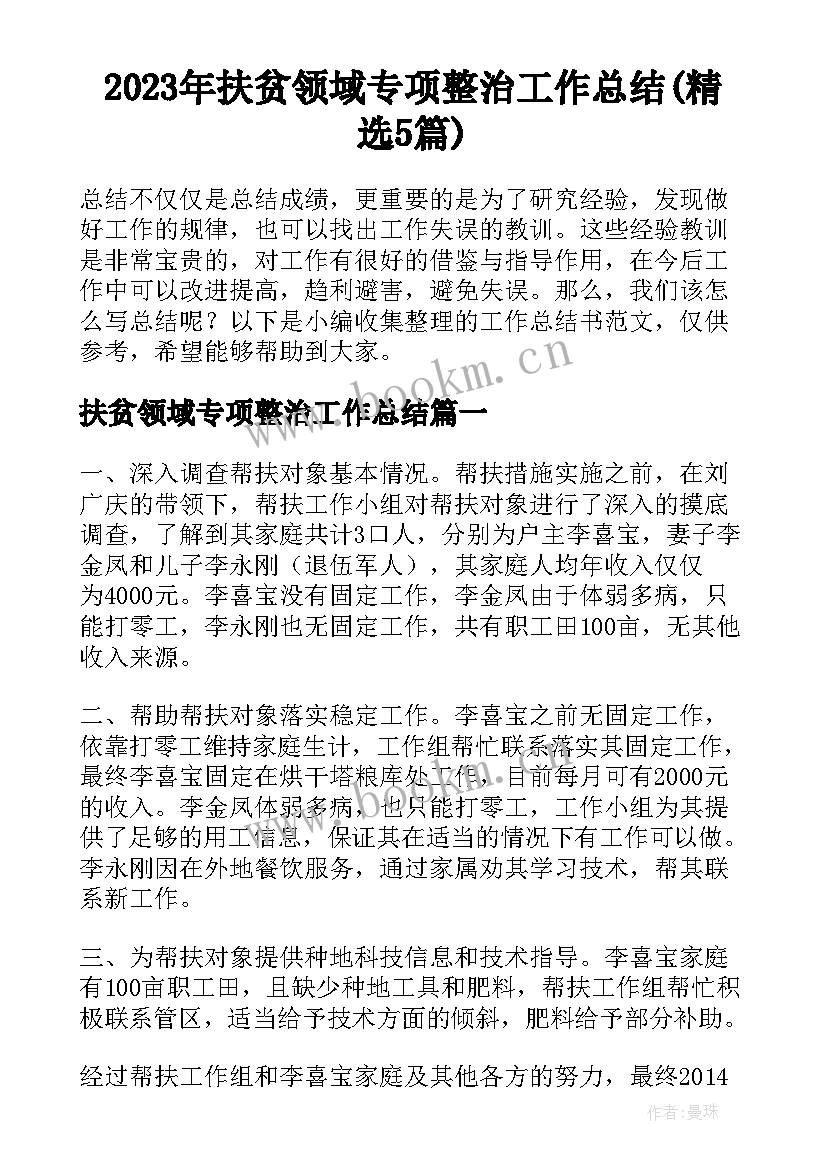 2023年扶贫领域专项整治工作总结(精选5篇)