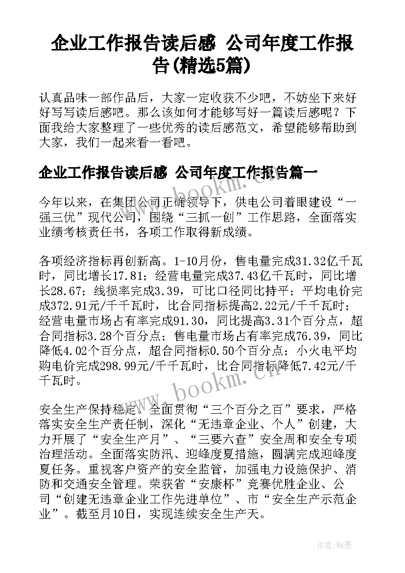 企业工作报告读后感 公司年度工作报告(精选5篇)