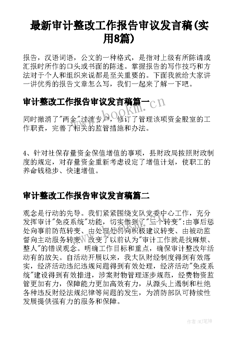 最新审计整改工作报告审议发言稿(实用8篇)