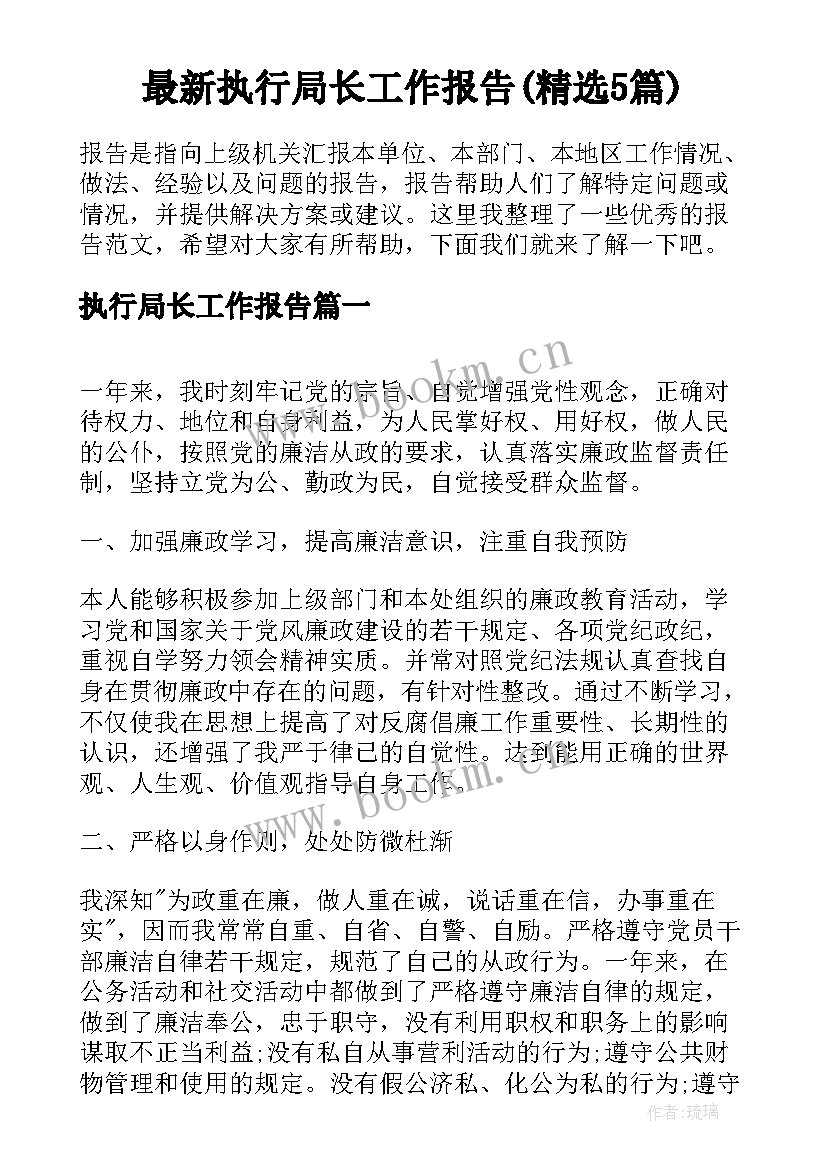 最新执行局长工作报告(精选5篇)