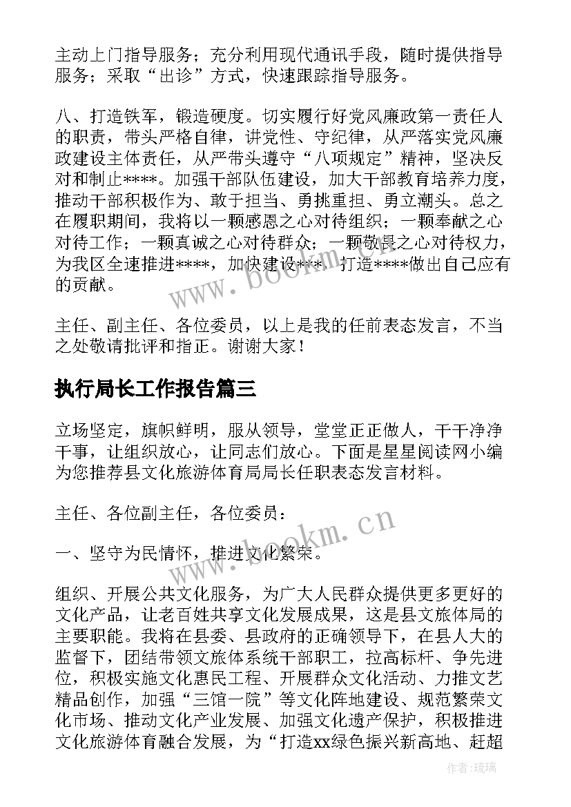 最新执行局长工作报告(精选5篇)