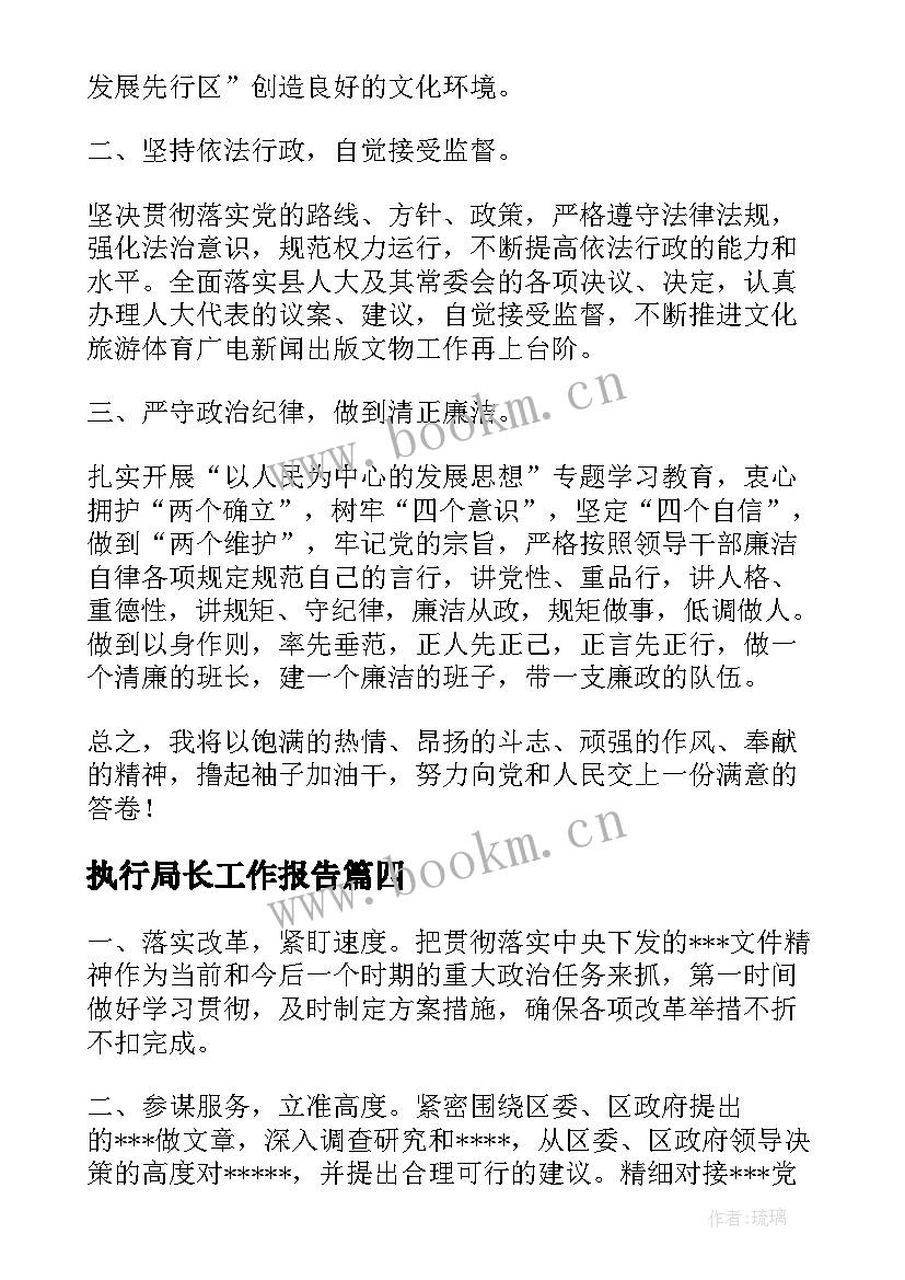 最新执行局长工作报告(精选5篇)