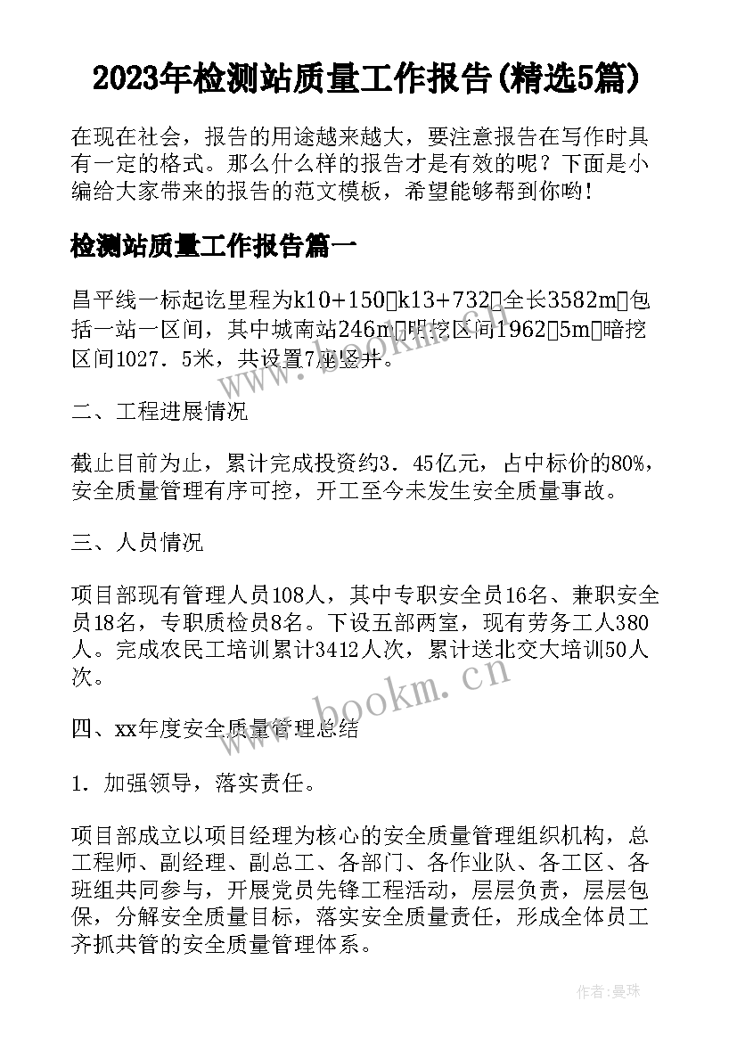 2023年检测站质量工作报告(精选5篇)