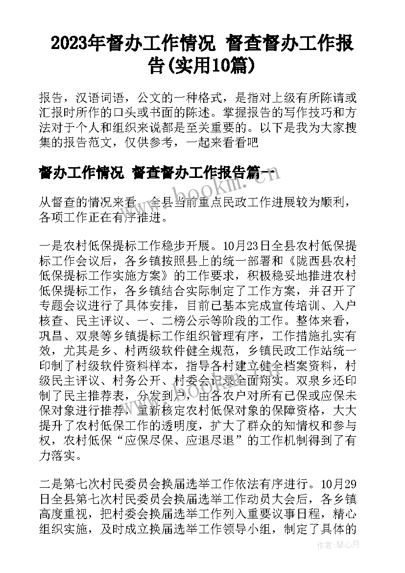 2023年督办工作情况 督查督办工作报告(实用10篇)