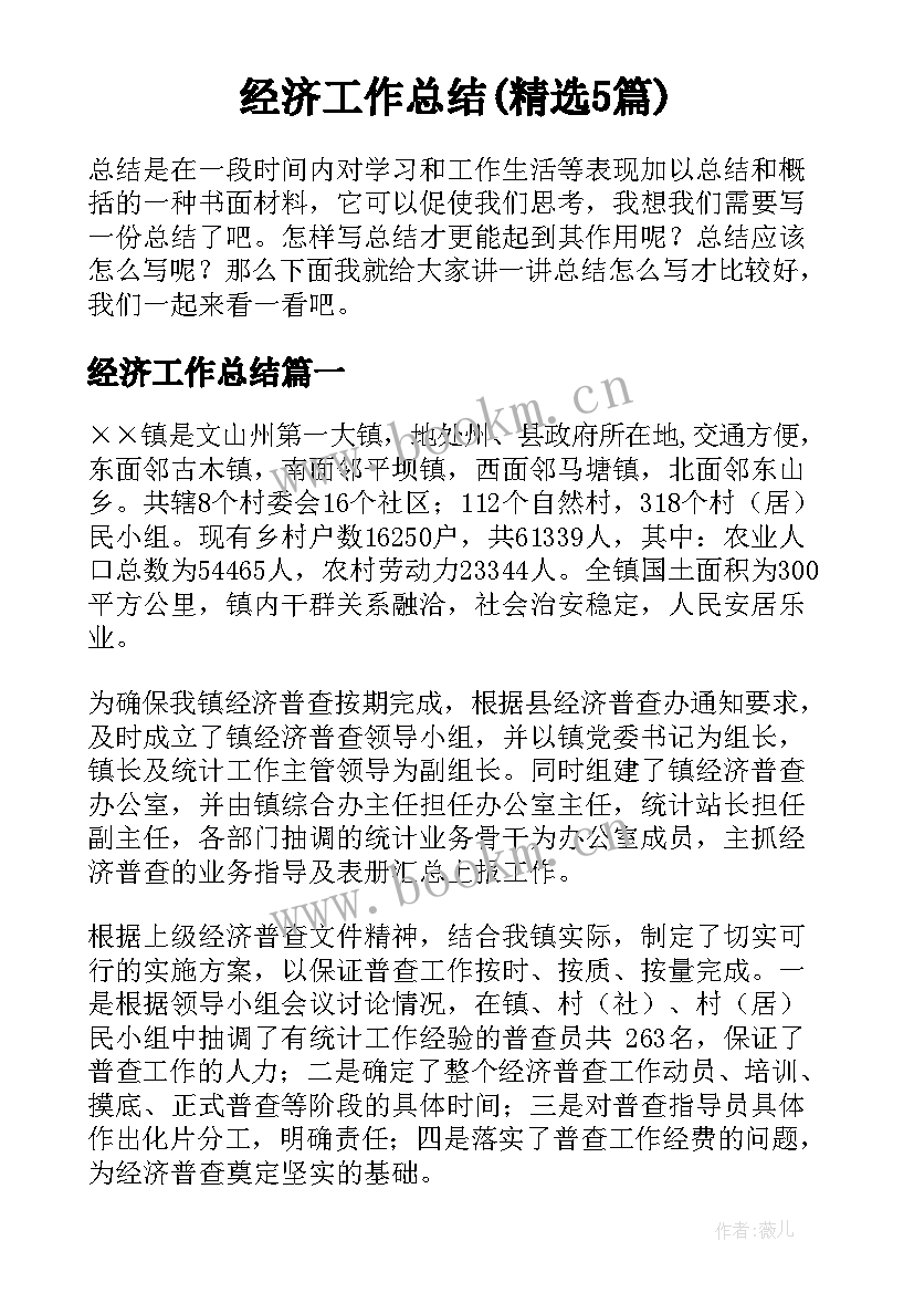 经济工作总结(精选5篇)