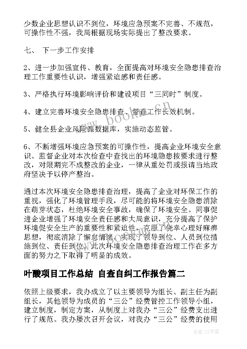 叶酸项目工作总结 自查自纠工作报告(大全6篇)