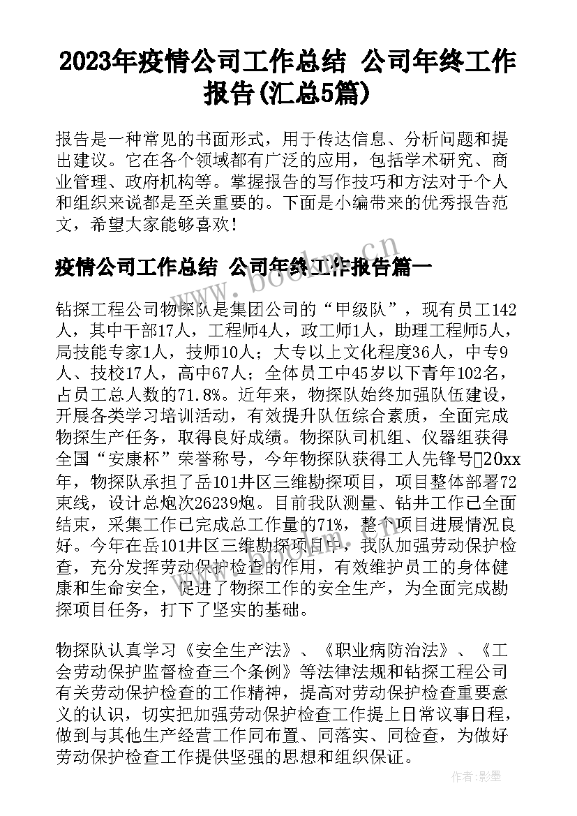 2023年疫情公司工作总结 公司年终工作报告(汇总5篇)