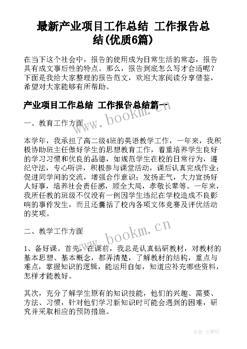 最新产业项目工作总结 工作报告总结(优质6篇)