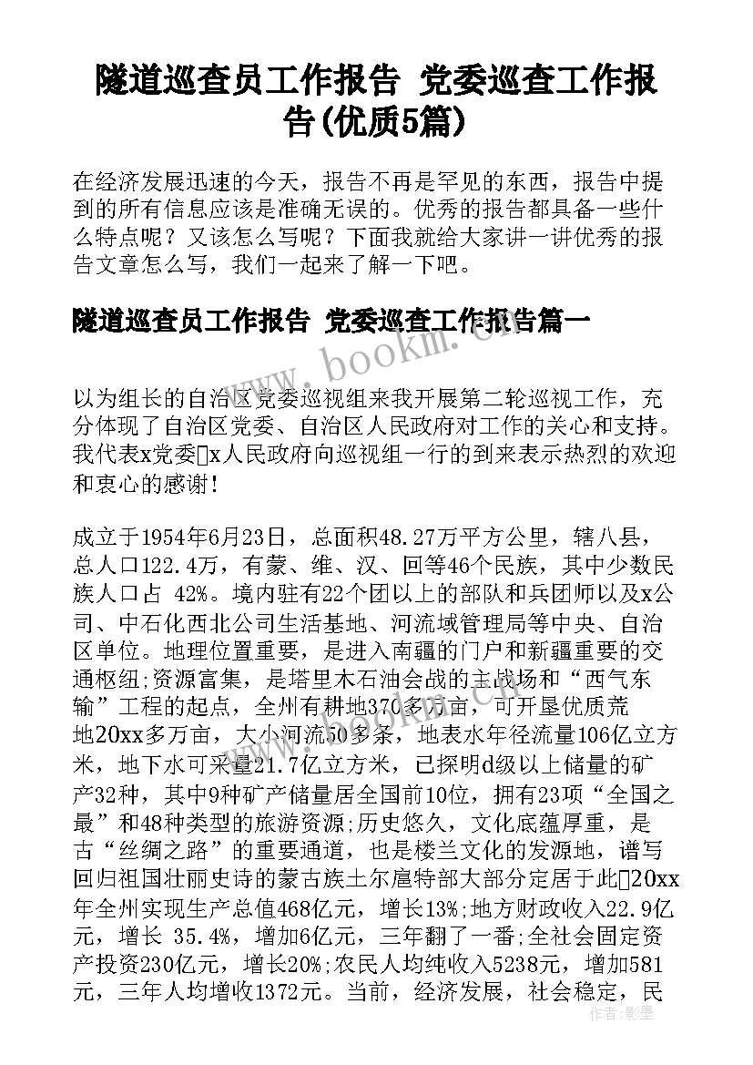 隧道巡查员工作报告 党委巡查工作报告(优质5篇)