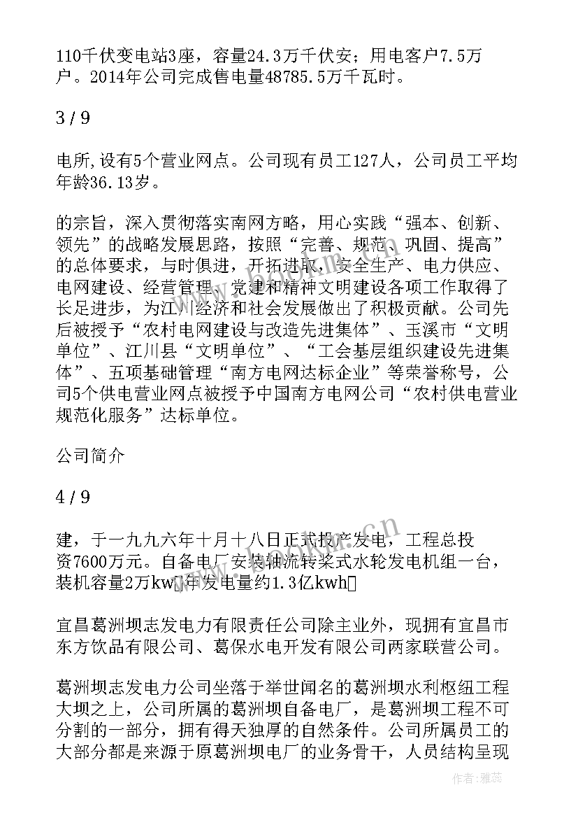 电力安装公司年度报告标题(模板5篇)