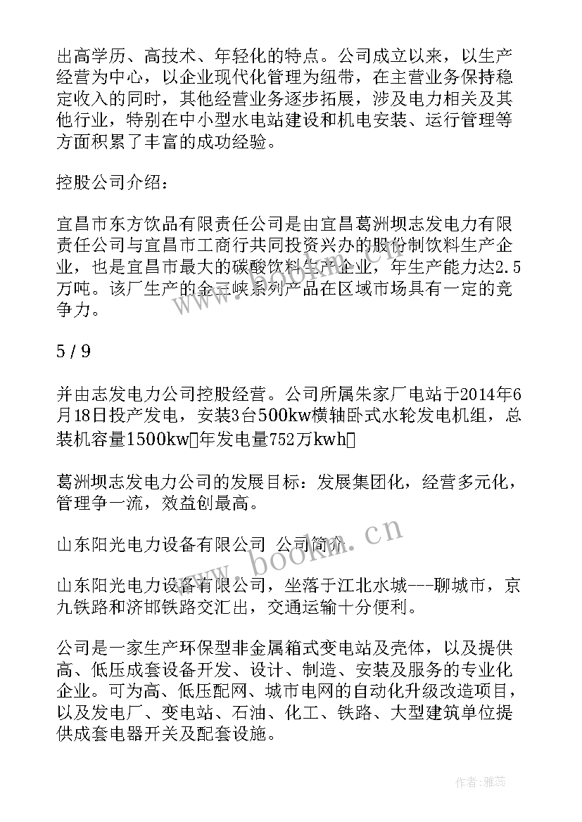 电力安装公司年度报告标题(模板5篇)