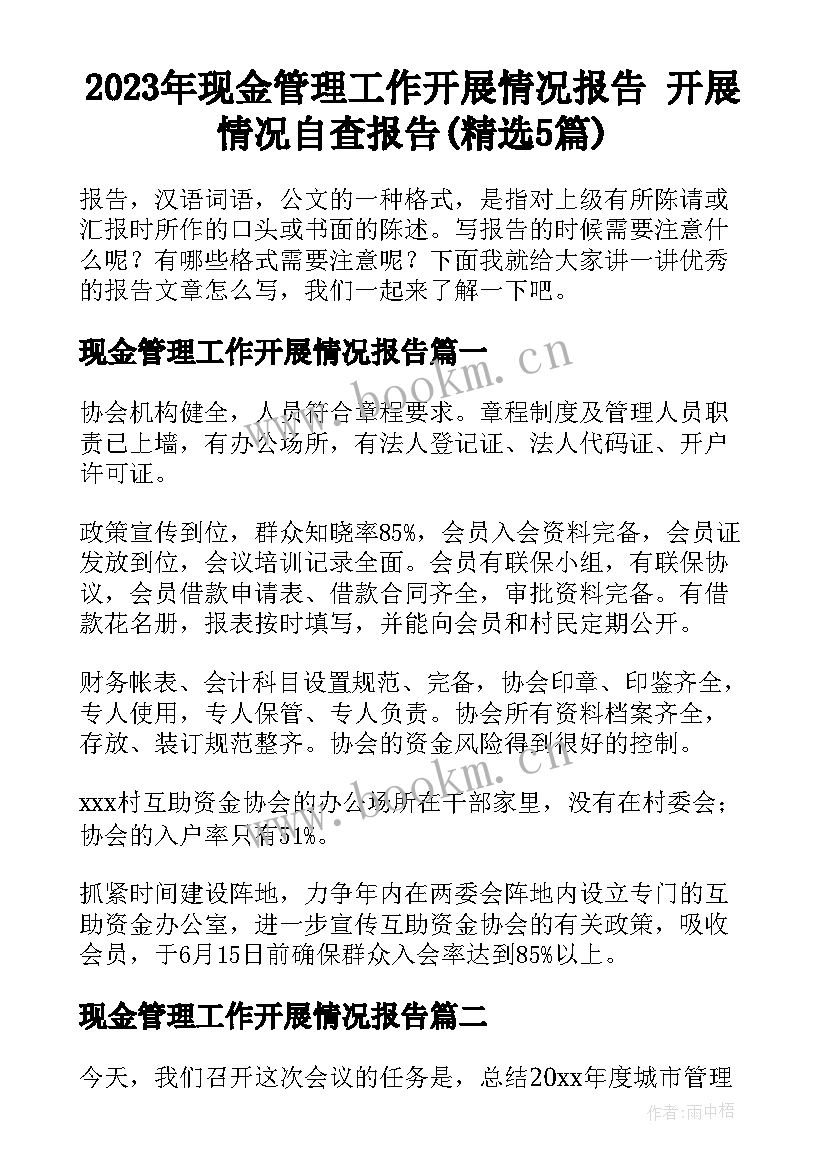 2023年现金管理工作开展情况报告 开展情况自查报告(精选5篇)