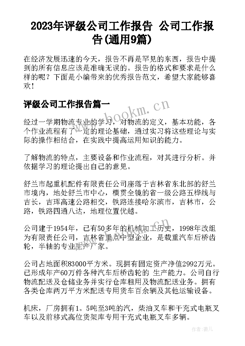 2023年评级公司工作报告 公司工作报告(通用9篇)