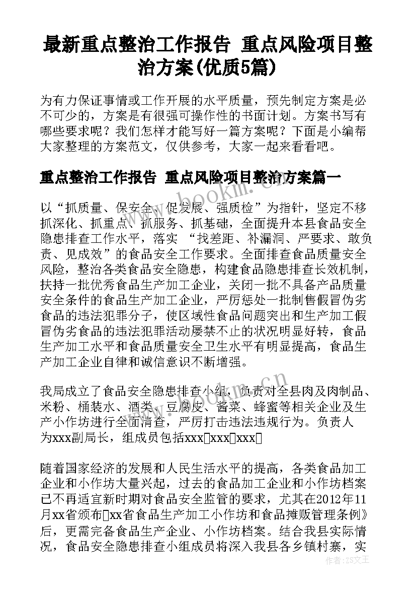 最新重点整治工作报告 重点风险项目整治方案(优质5篇)