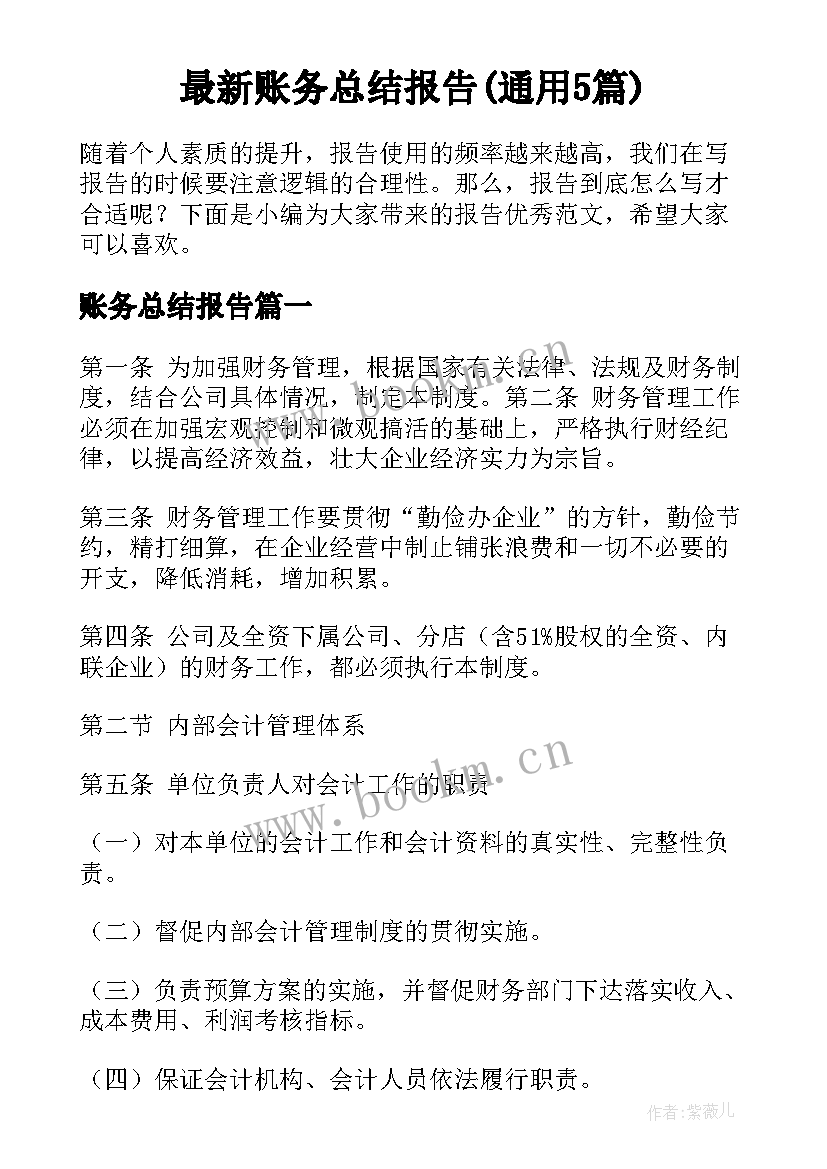 最新账务总结报告(通用5篇)