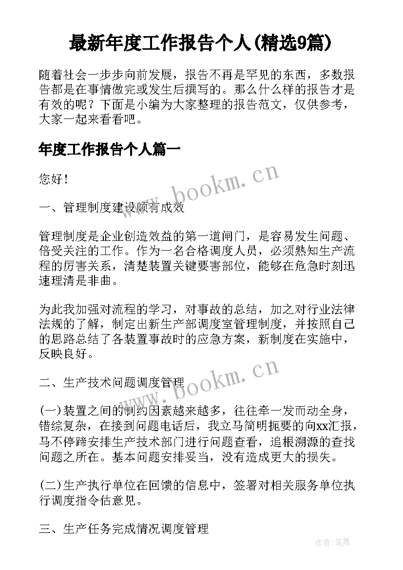 最新年度工作报告个人(精选9篇)