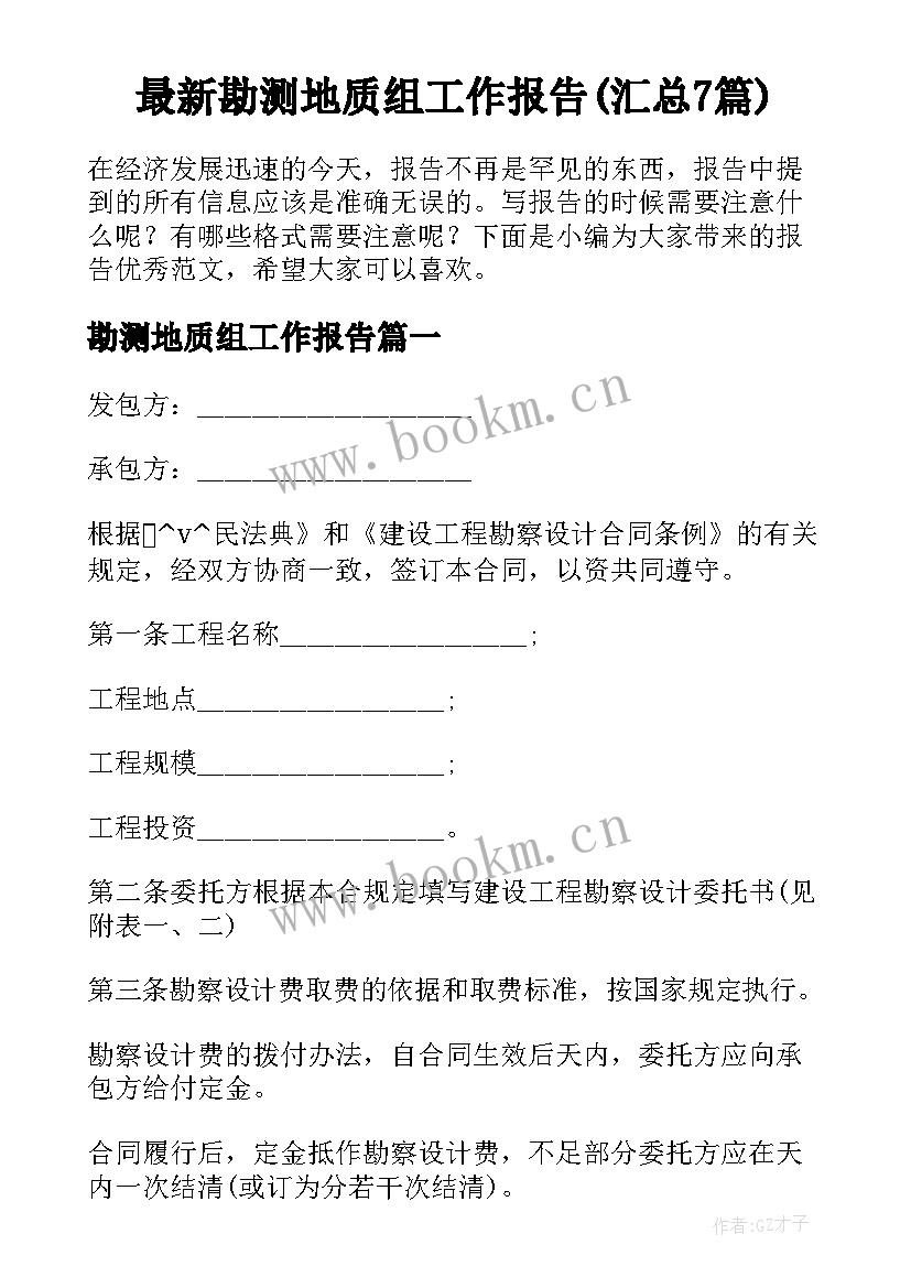 最新勘测地质组工作报告(汇总7篇)