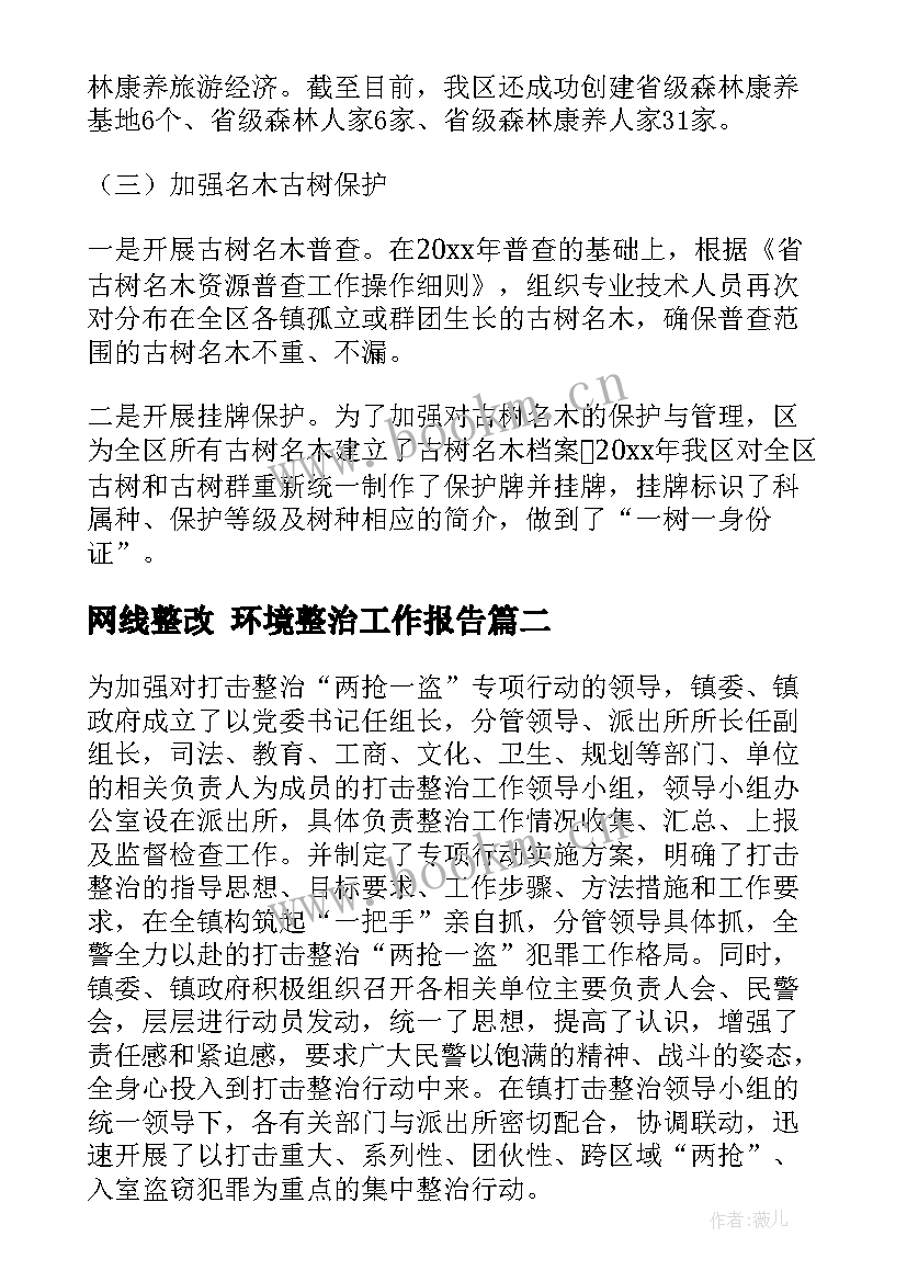 网线整改 环境整治工作报告(实用5篇)