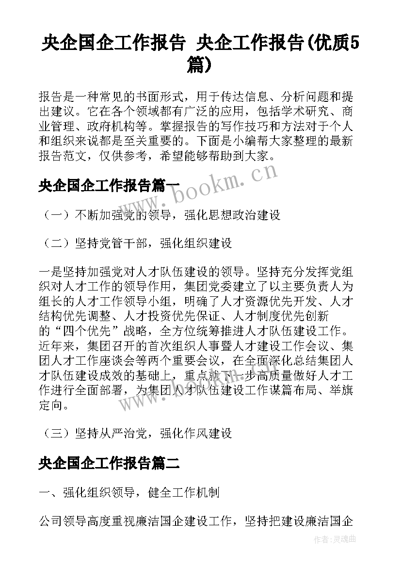 央企国企工作报告 央企工作报告(优质5篇)