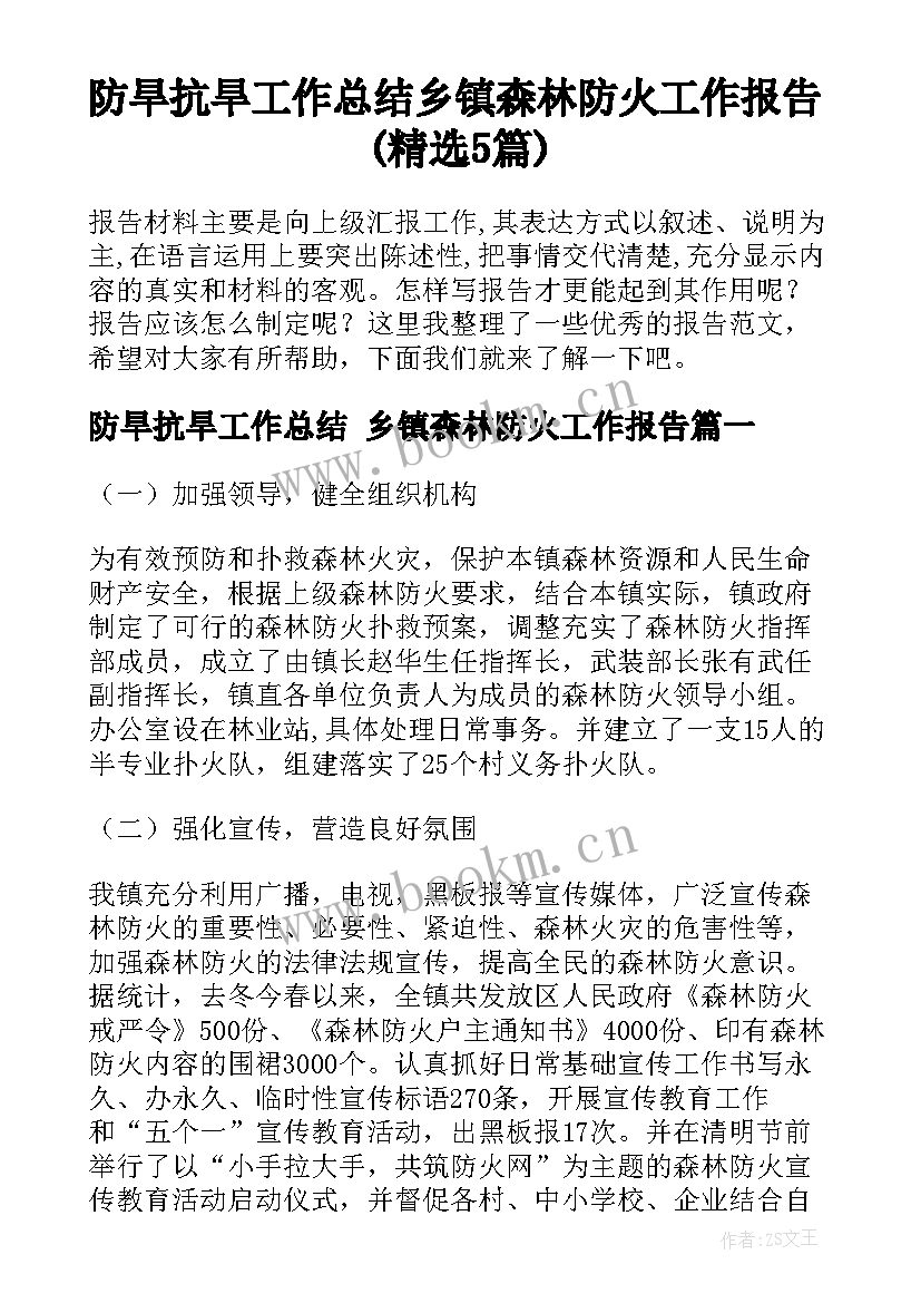 防旱抗旱工作总结 乡镇森林防火工作报告(精选5篇)