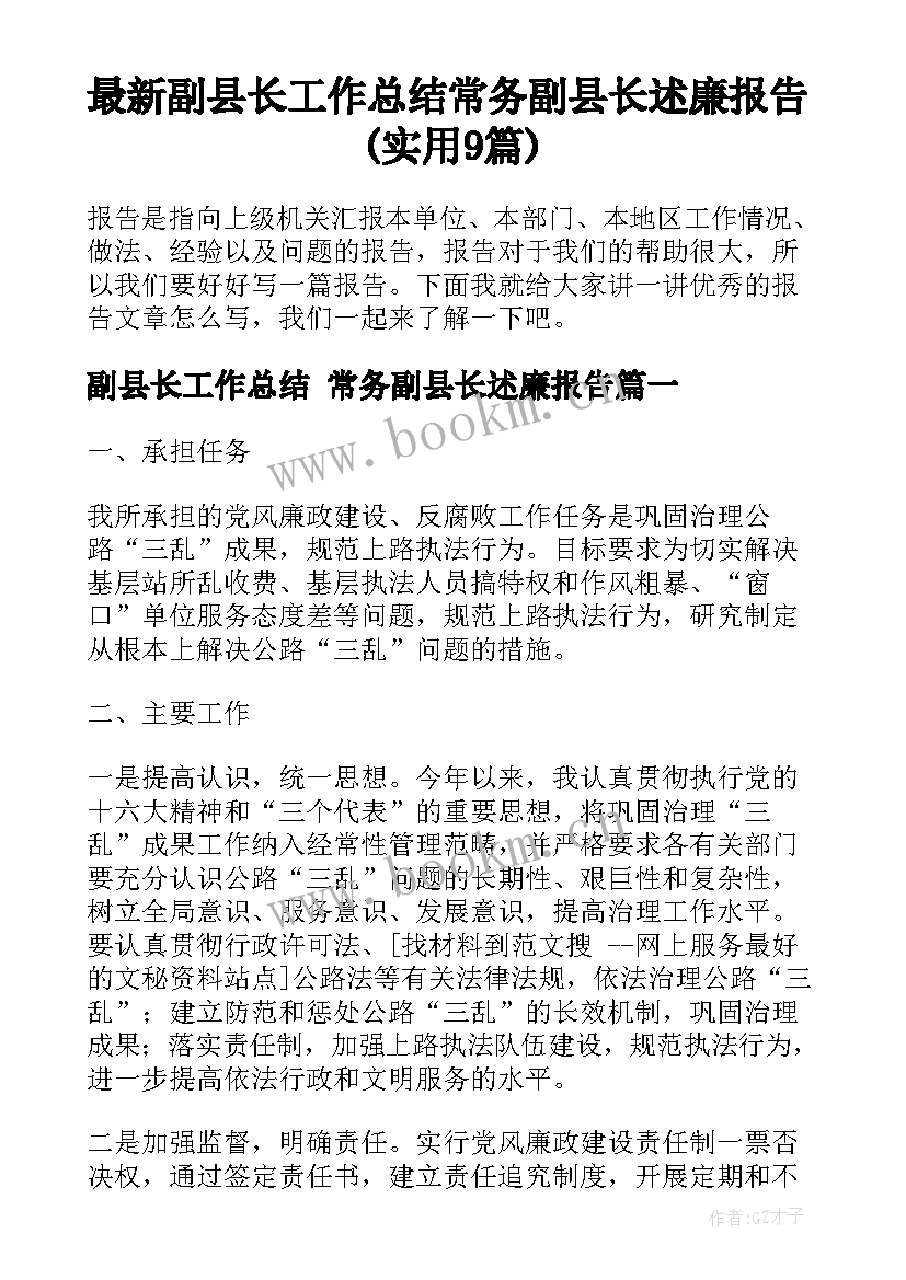 最新副县长工作总结 常务副县长述廉报告(实用9篇)