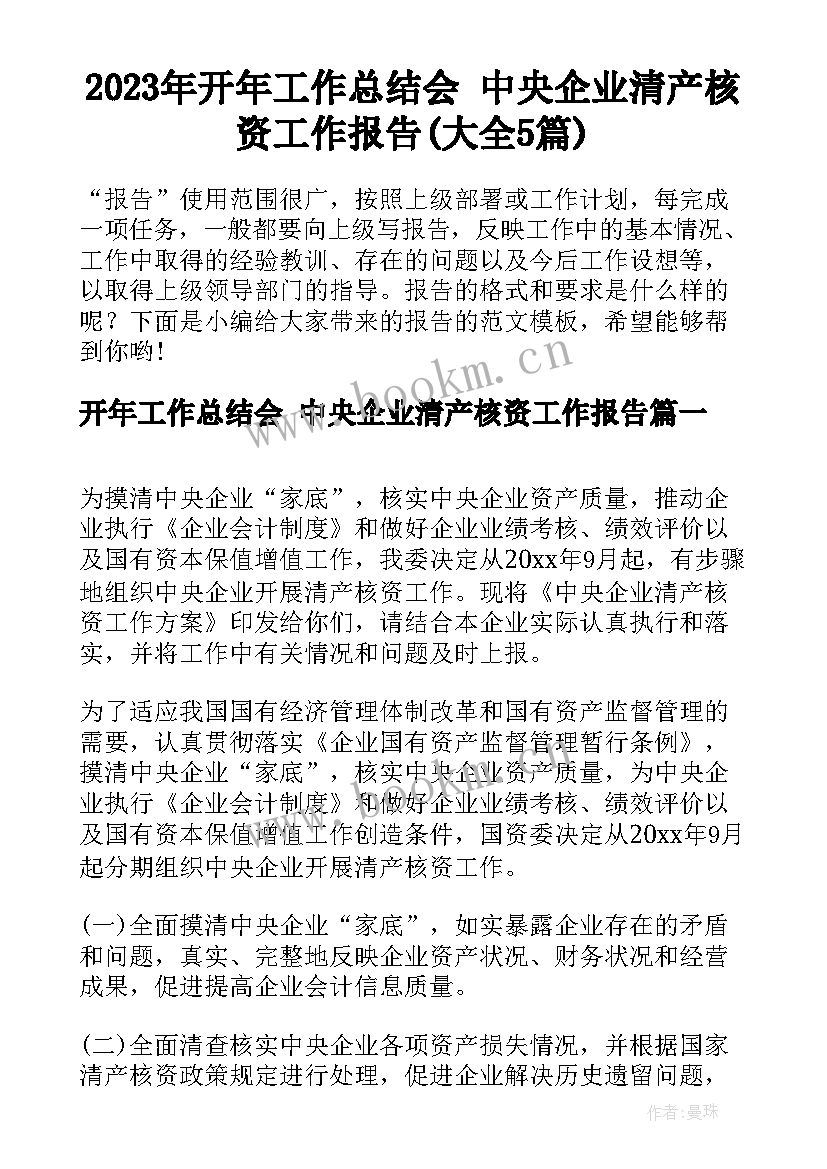 2023年开年工作总结会 中央企业清产核资工作报告(大全5篇)