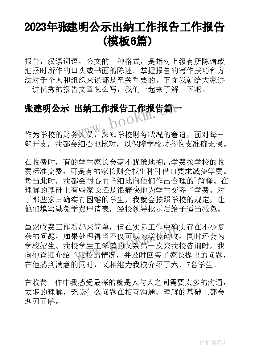 2023年张建明公示 出纳工作报告工作报告(模板6篇)