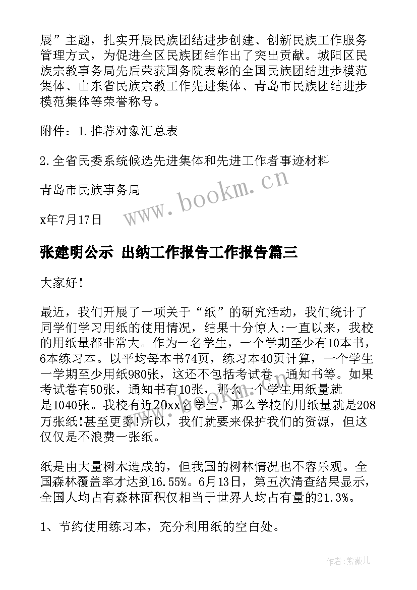 2023年张建明公示 出纳工作报告工作报告(模板6篇)