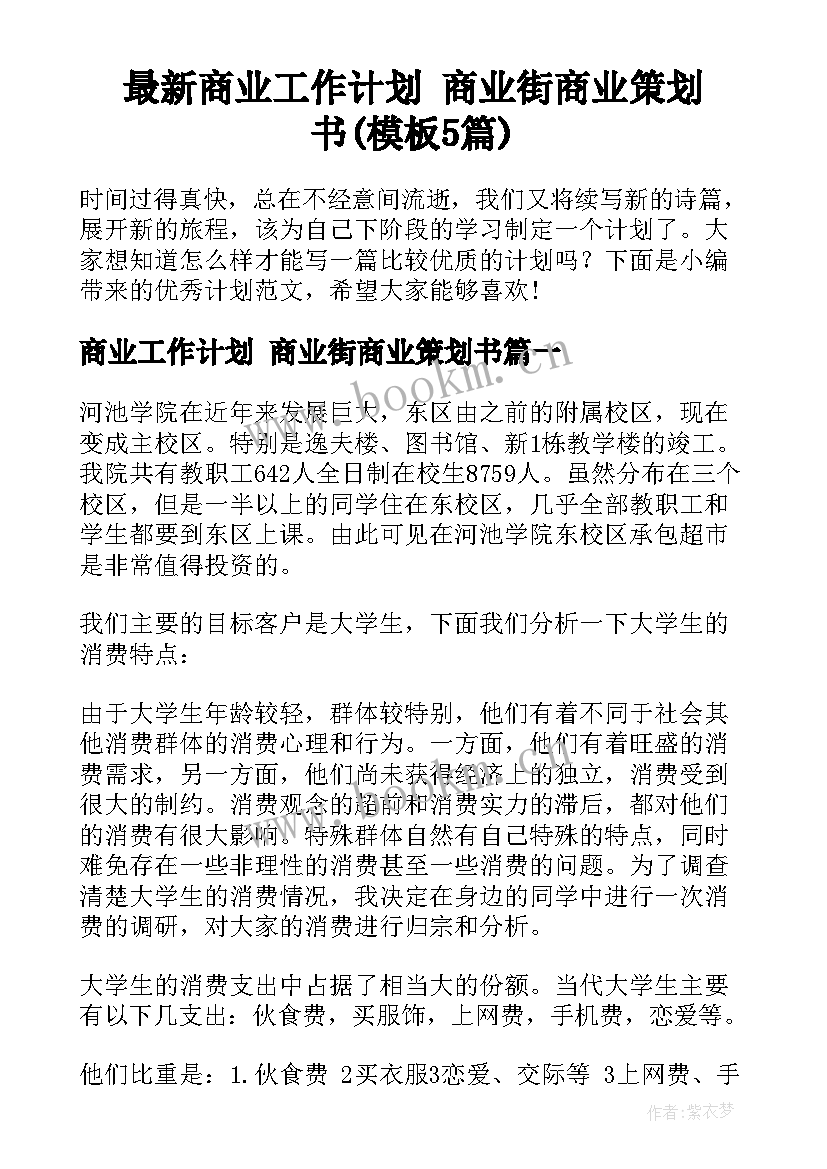 最新商业工作计划 商业街商业策划书(模板5篇)