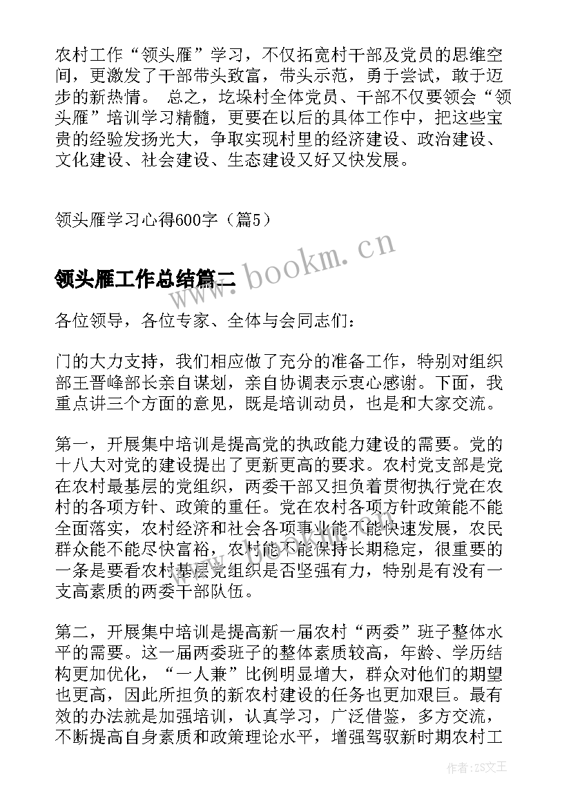 领头雁工作总结(汇总9篇)