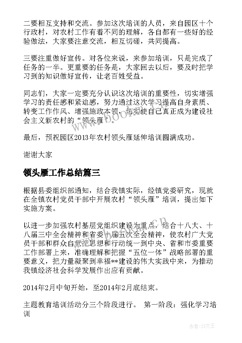 领头雁工作总结(汇总9篇)