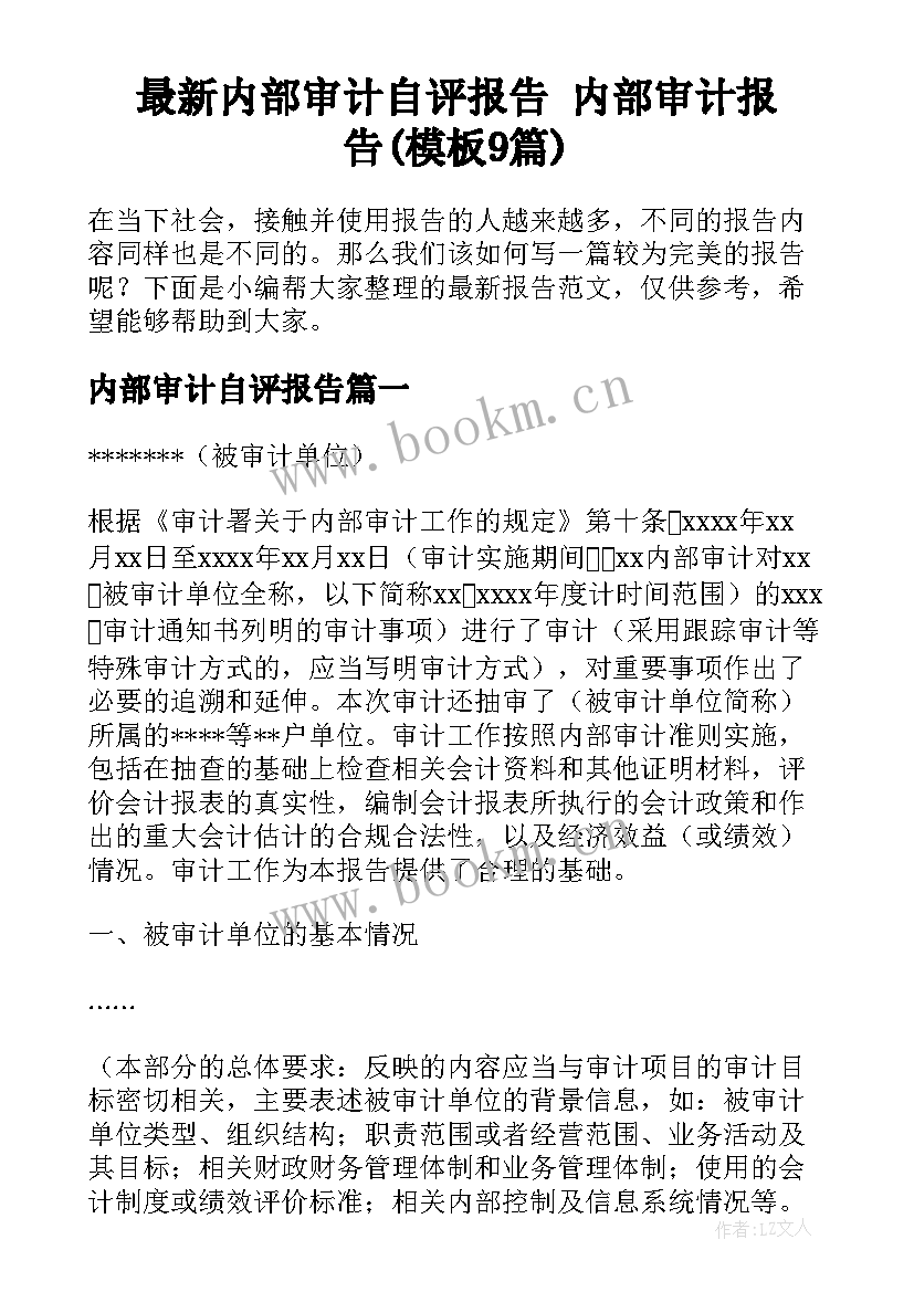 最新内部审计自评报告 内部审计报告(模板9篇)