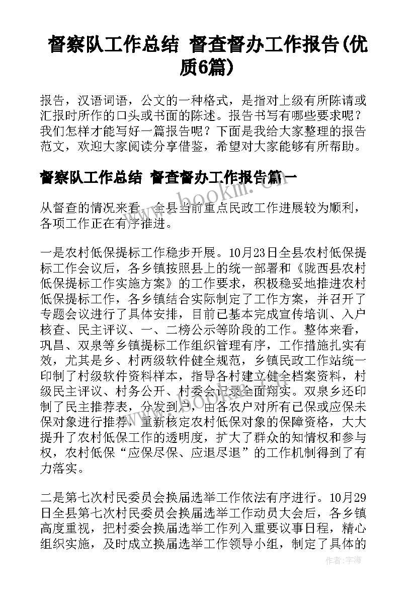 督察队工作总结 督查督办工作报告(优质6篇)