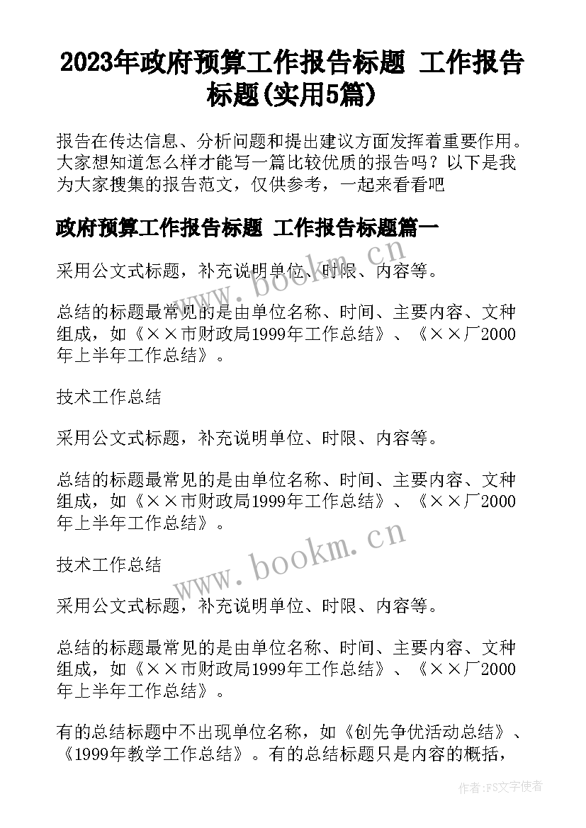 2023年政府预算工作报告标题 工作报告标题(实用5篇)