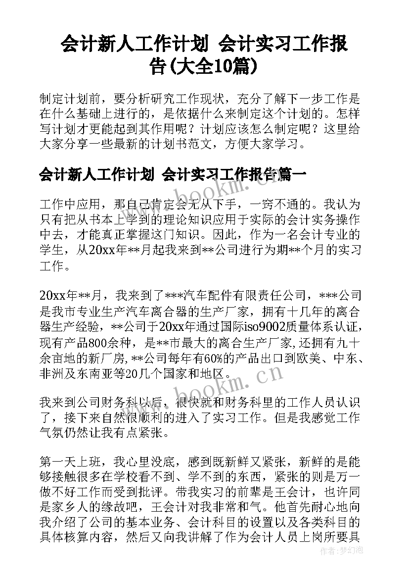 会计新人工作计划 会计实习工作报告(大全10篇)