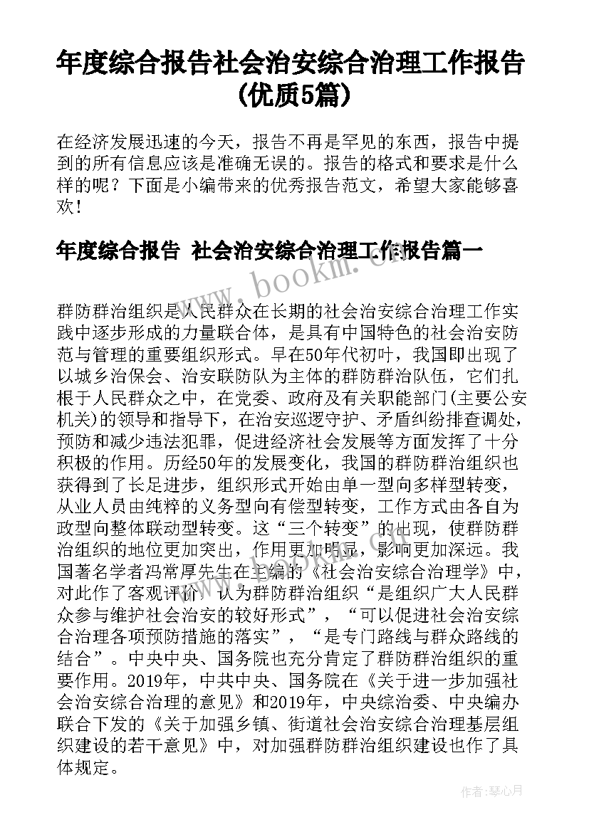 年度综合报告 社会治安综合治理工作报告(优质5篇)