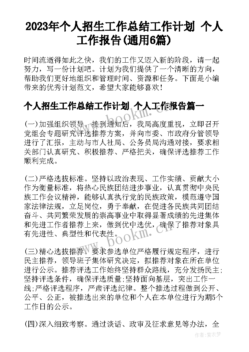 2023年个人招生工作总结工作计划 个人工作报告(通用6篇)