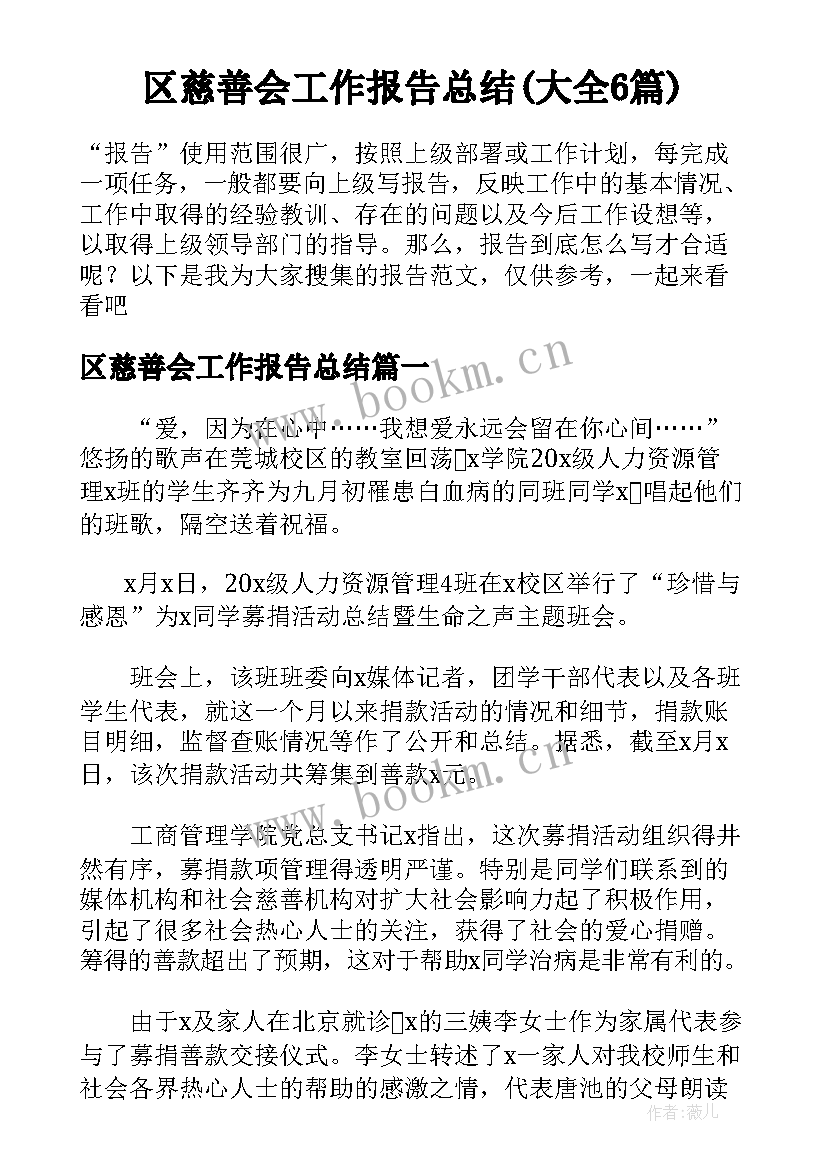 区慈善会工作报告总结(大全6篇)