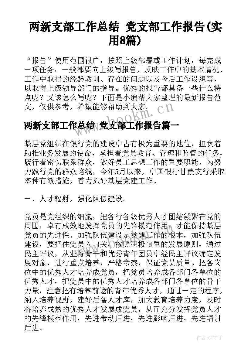 两新支部工作总结 党支部工作报告(实用8篇)