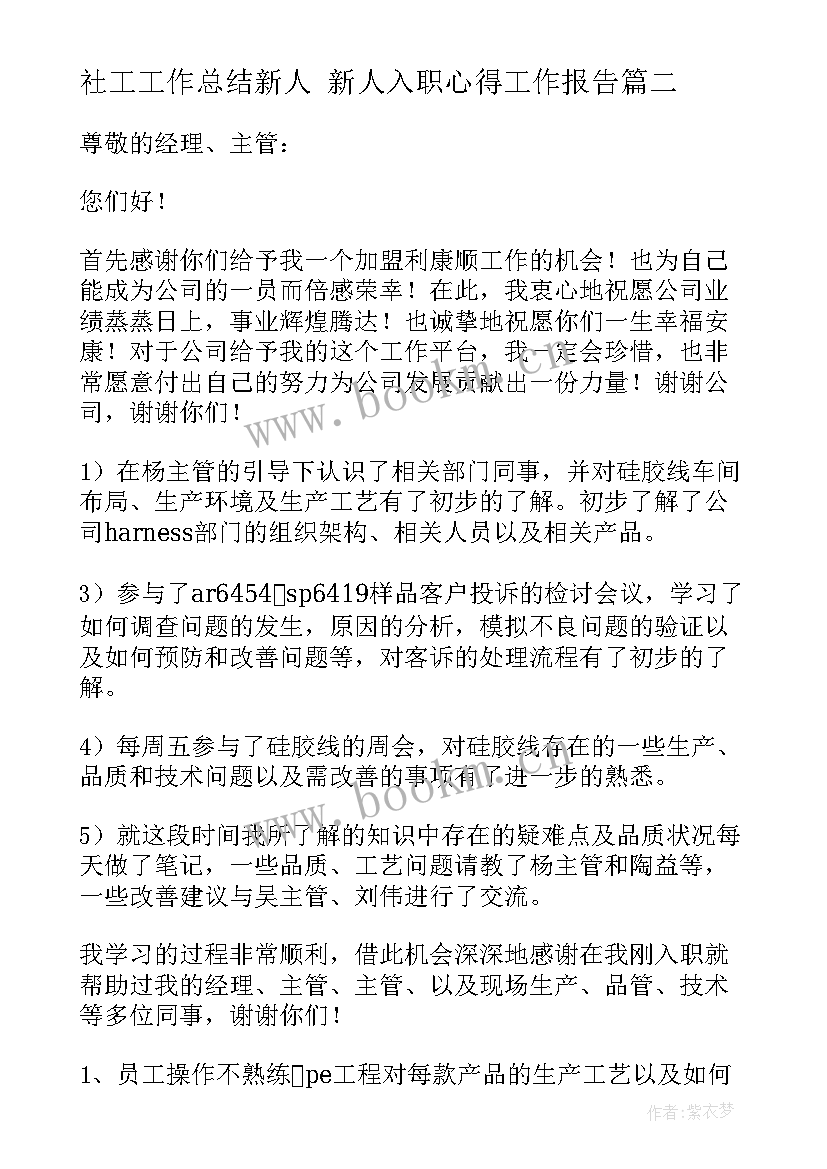 2023年社工工作总结新人 新人入职心得工作报告(通用5篇)