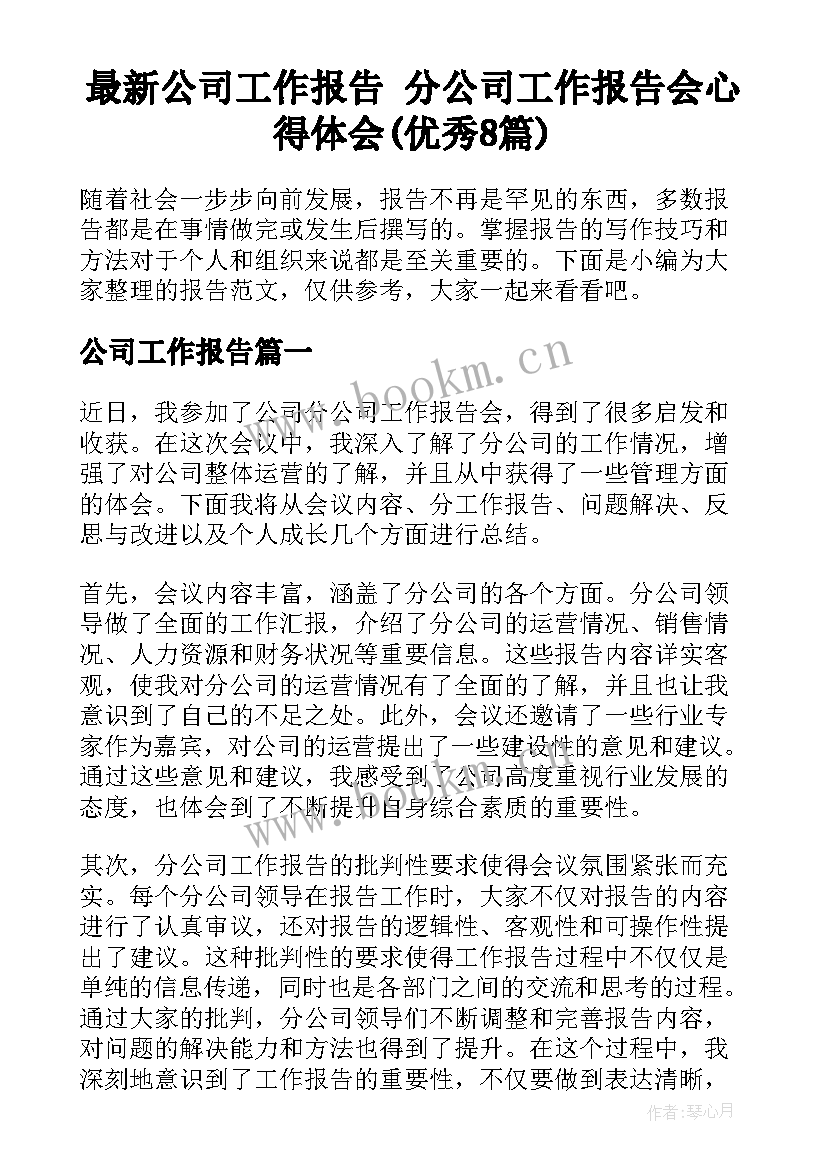 最新公司工作报告 分公司工作报告会心得体会(优秀8篇)