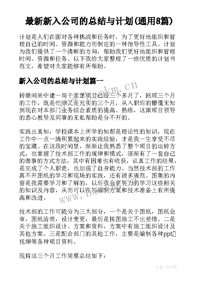 最新新入公司的总结与计划(通用8篇)