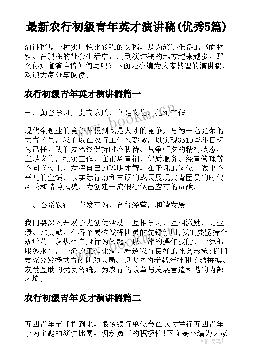 最新农行初级青年英才演讲稿(优秀5篇)