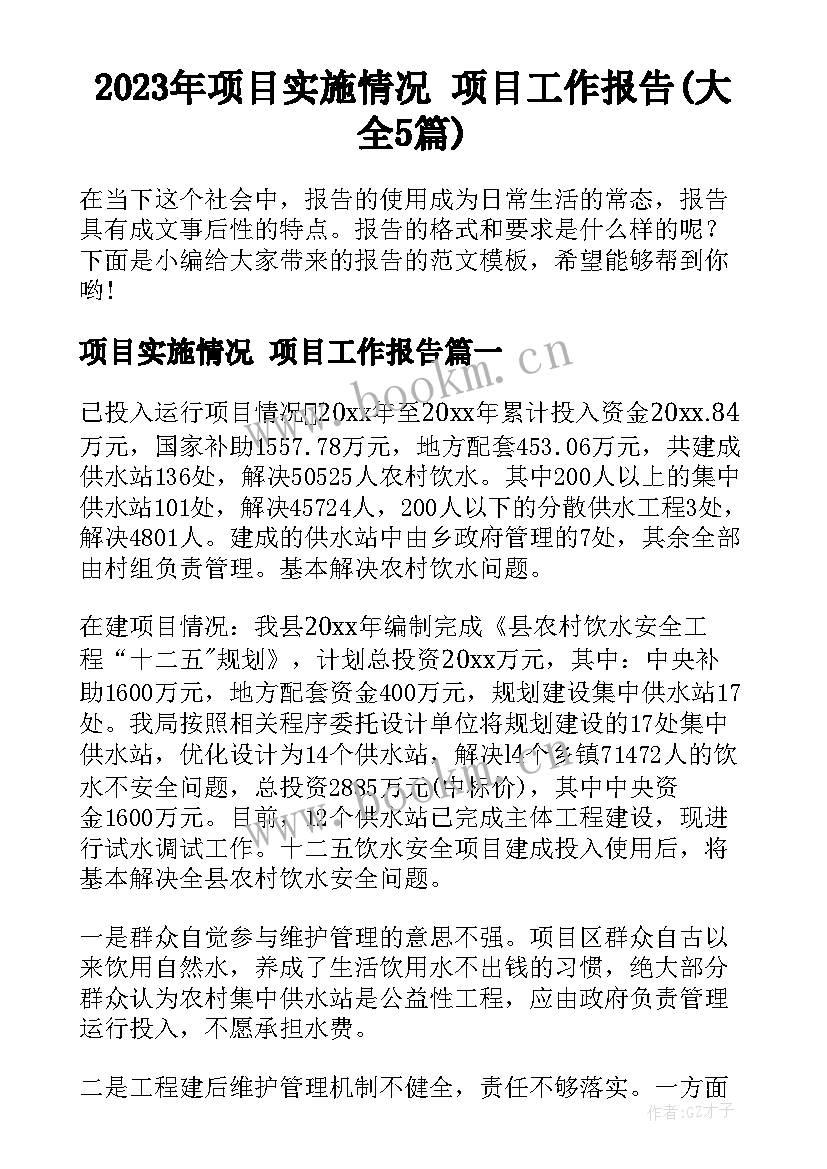 2023年项目实施情况 项目工作报告(大全5篇)