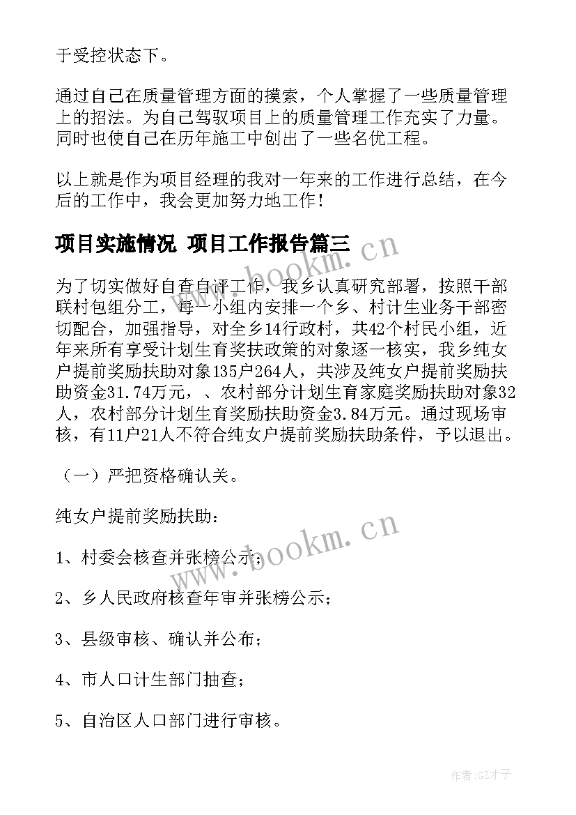 2023年项目实施情况 项目工作报告(大全5篇)