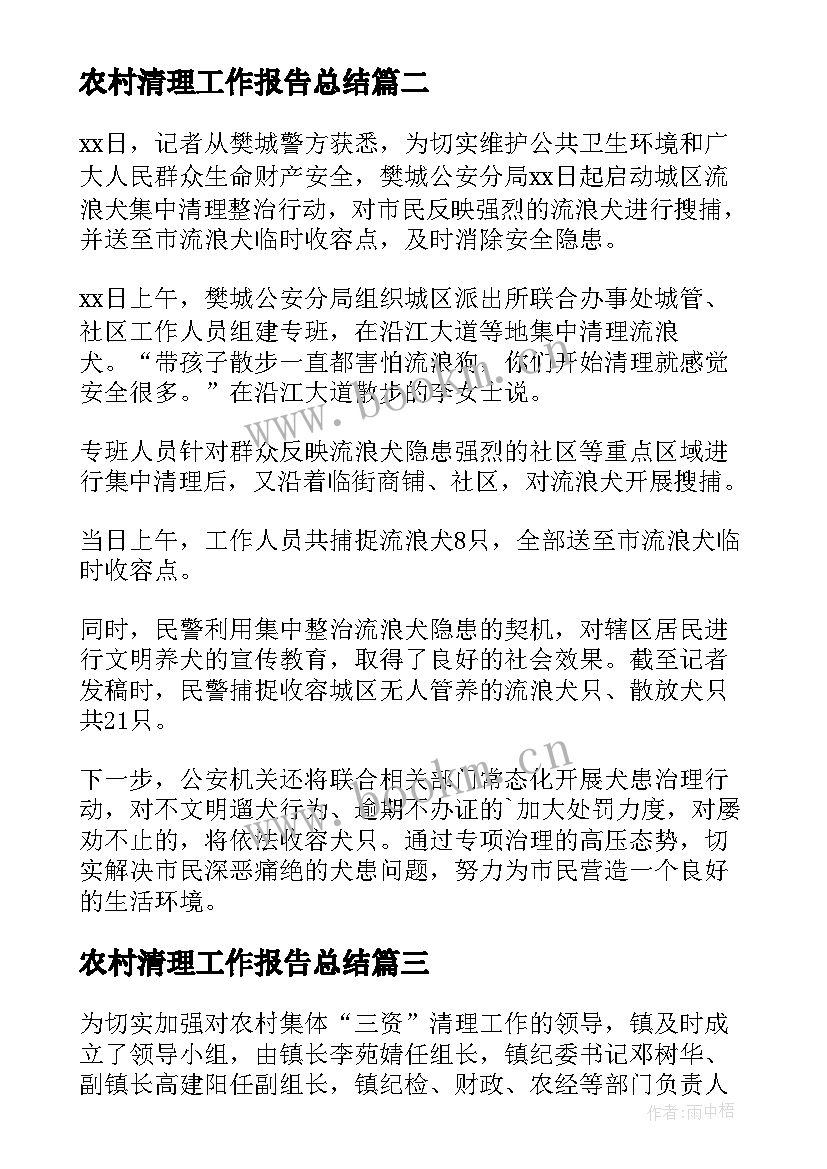 最新农村清理工作报告总结(大全5篇)